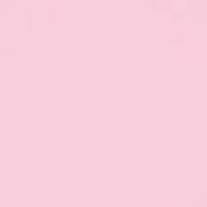 Meet your Posher, Ava